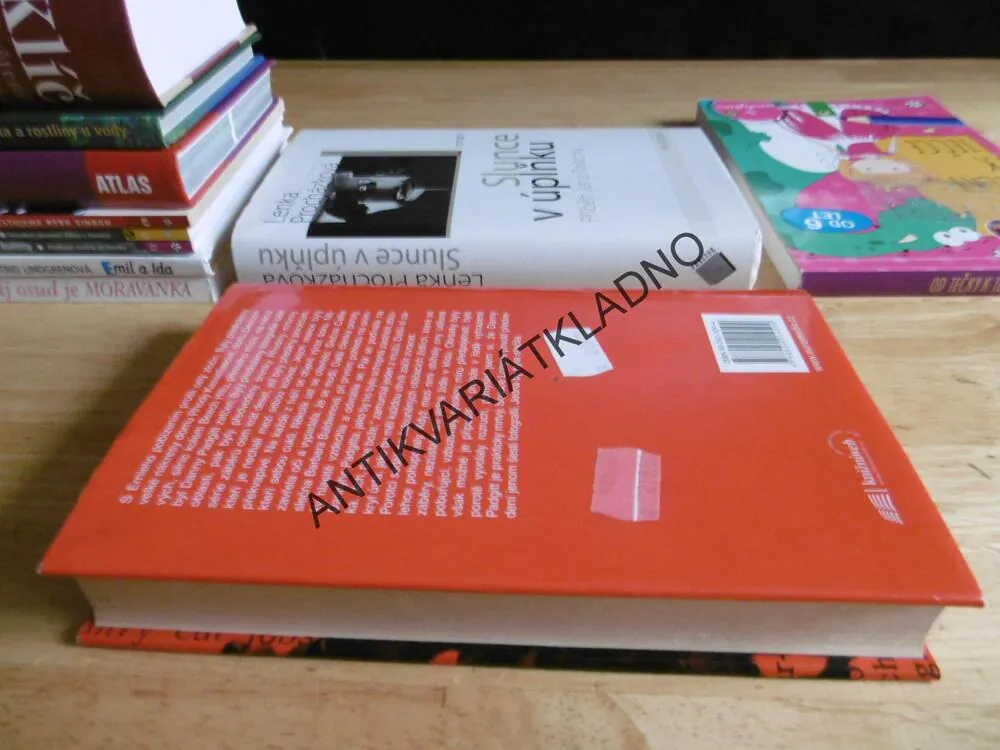 POSLEDNÍ POROTCE, JOHN GRISHAM, **an