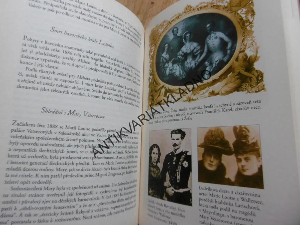 SISI A JEJÍ SOUROZENCI, ERIKA BESTENREINEROVÁ, SISSI, **an