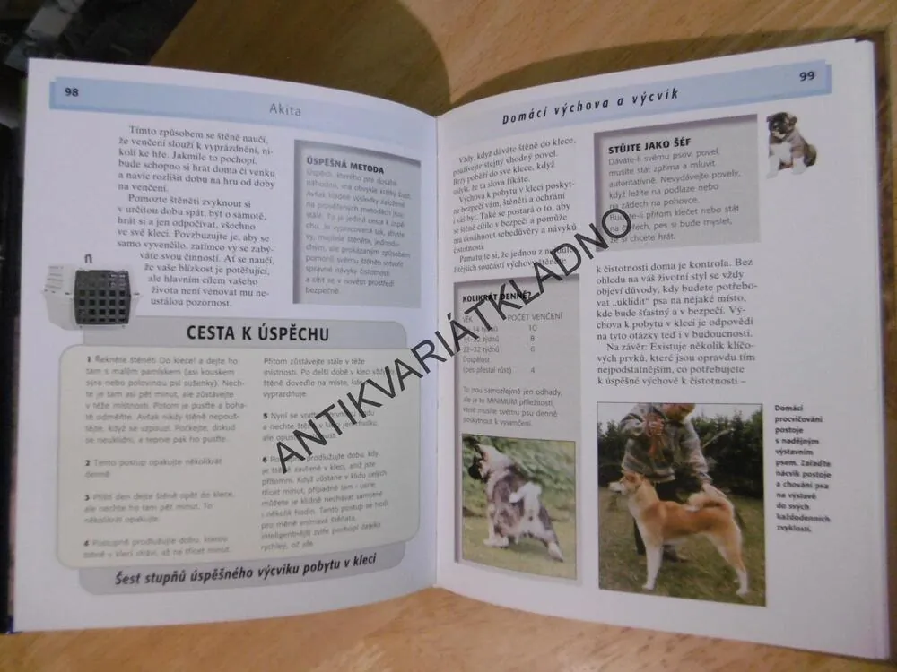 AKITA, B.J. ANDREWSOVÁ, M. PURNELL-CARPENTEROVÁ, **an