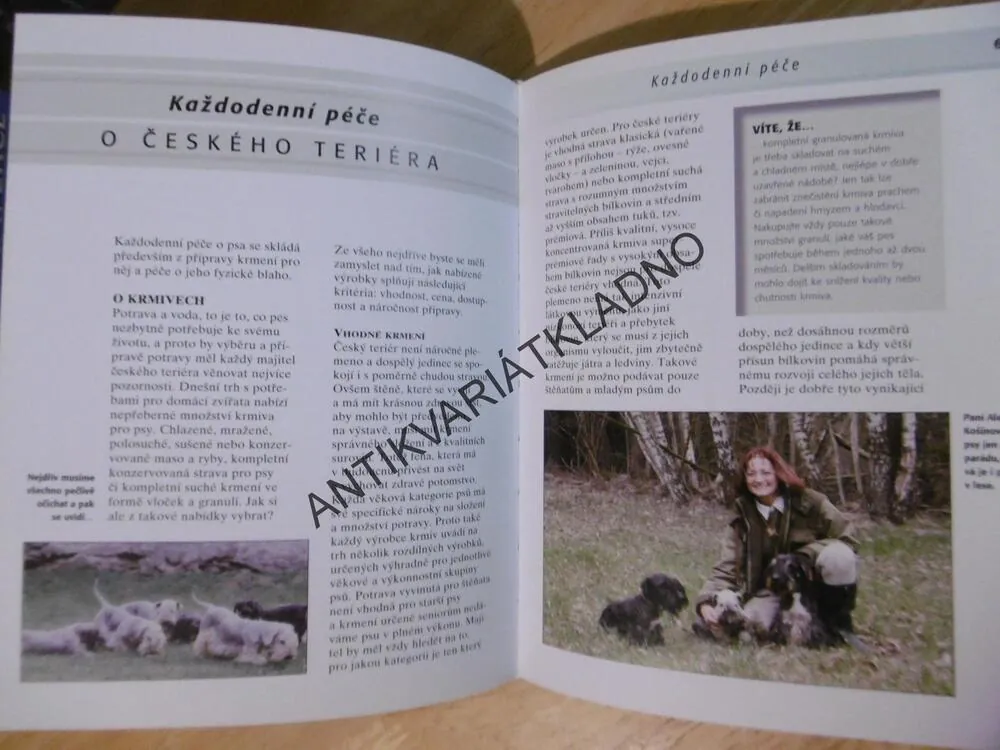 ČESKÝ TERIÉR, HANA PETRUSOVÁ, **an