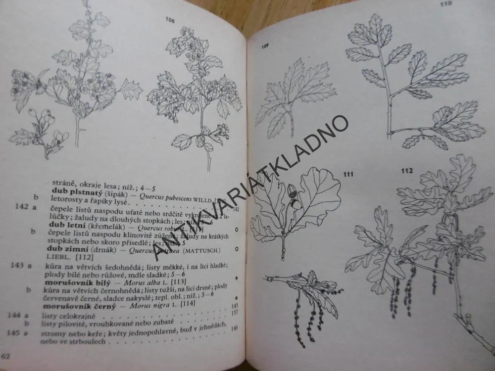 BOTANICKÝ KLÍČ, FAUSTUS, POLÍVKA,BOTANIKA, **an