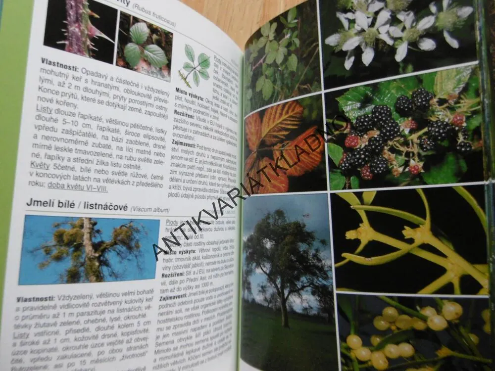 RODINNÝ PRŮVODCE PŘÍRODOU,S 11 AKCEMI V PŘÍRODĚ, **an