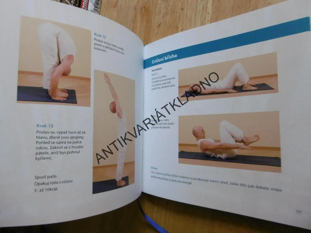 ŠKOLA HATHAJÓGY, HATHAJÓGA, CVIČENÍ PRO ZAČÁTEČNÍKY I POKROČILÉ, M.ANDERS-HOEPGEN, **an