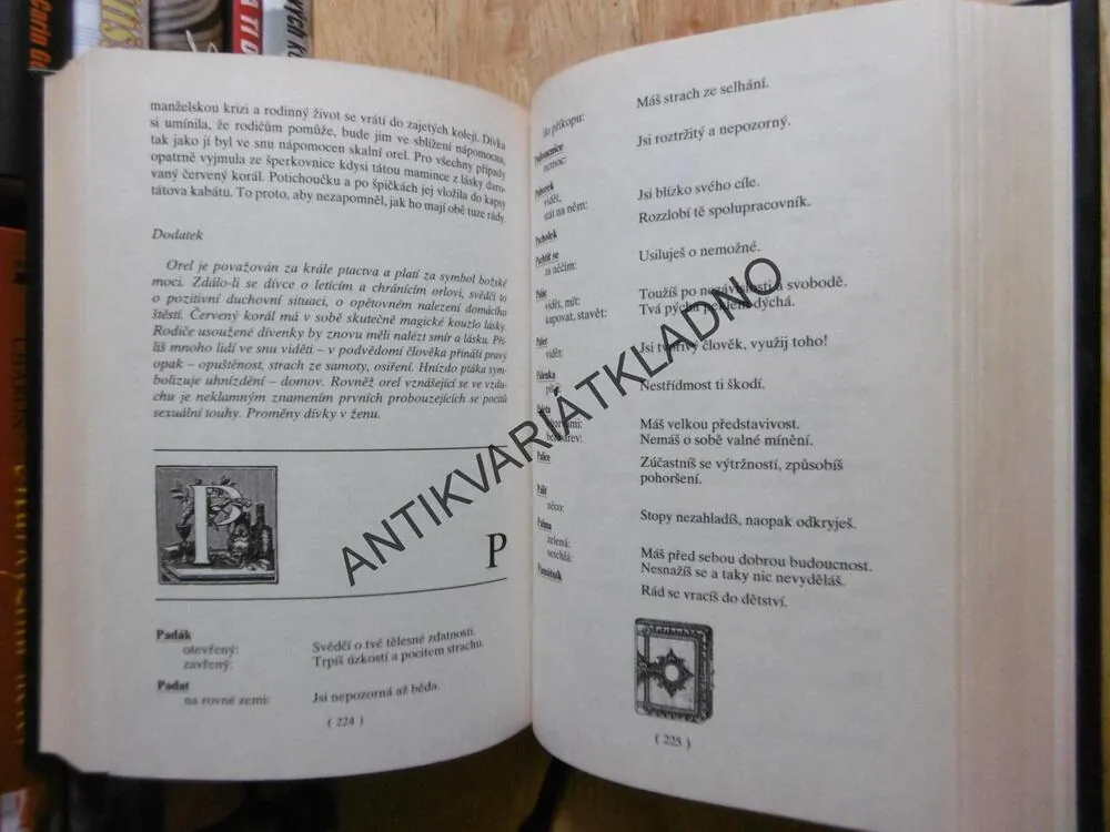VELKÝ SNÁŘ, HOROSKOP, ASTROLOGIE, DAGMAR KLUDSKÁ, **an