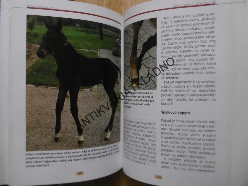 PÉČE O ZDRAVÍ KONĚ, HELMUT ENDE, EWLAD ISENBÜGEL