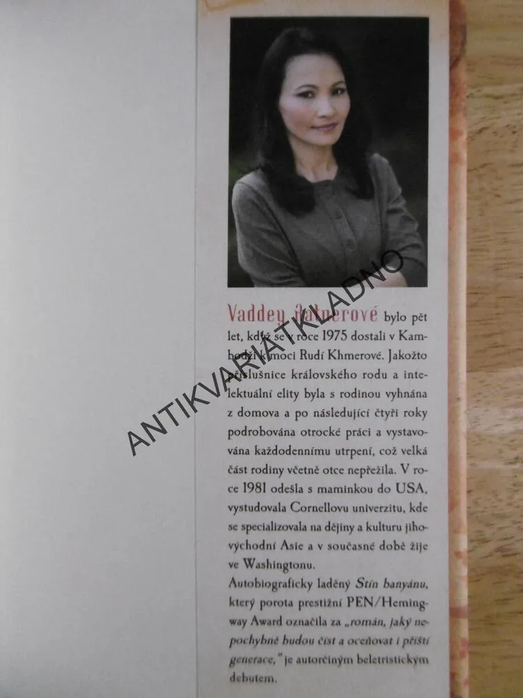 STÍN BANYÁNU, VADDEY RATNEROVÁ, **an