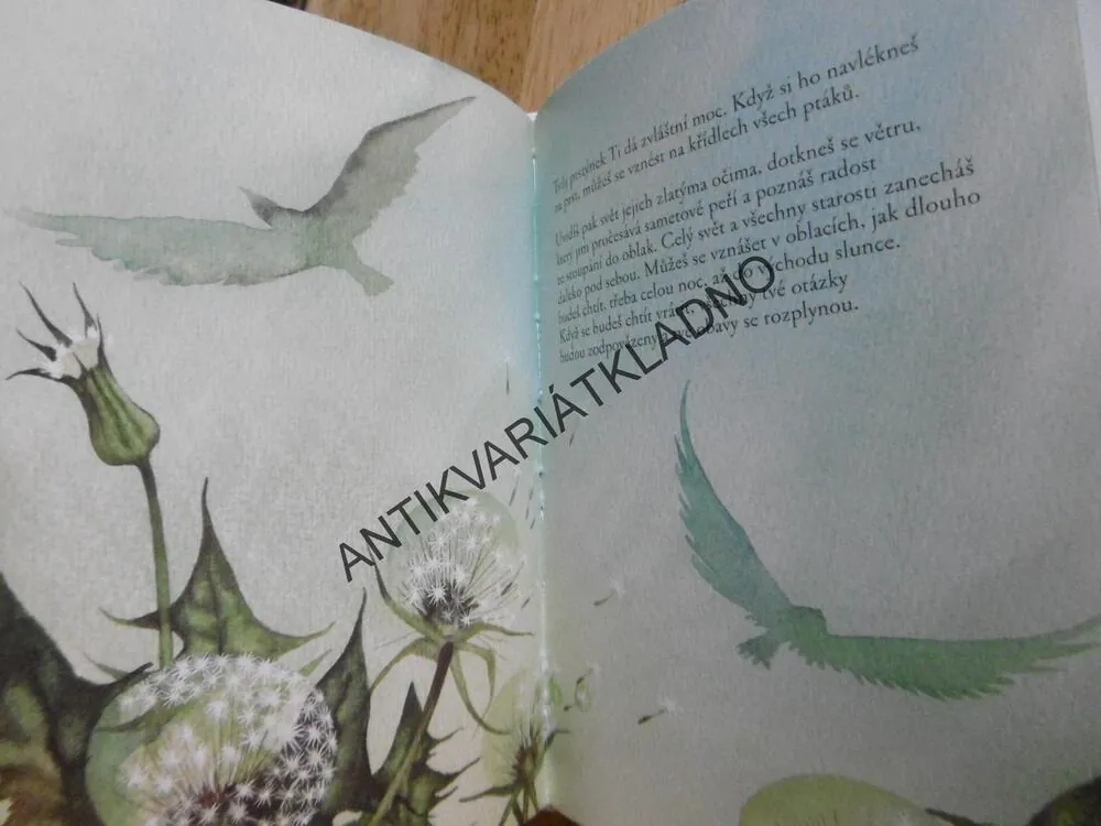 NIKDO NENÍ DALEKO, RICHARD BACH, MARINA RICHTEROVÁ