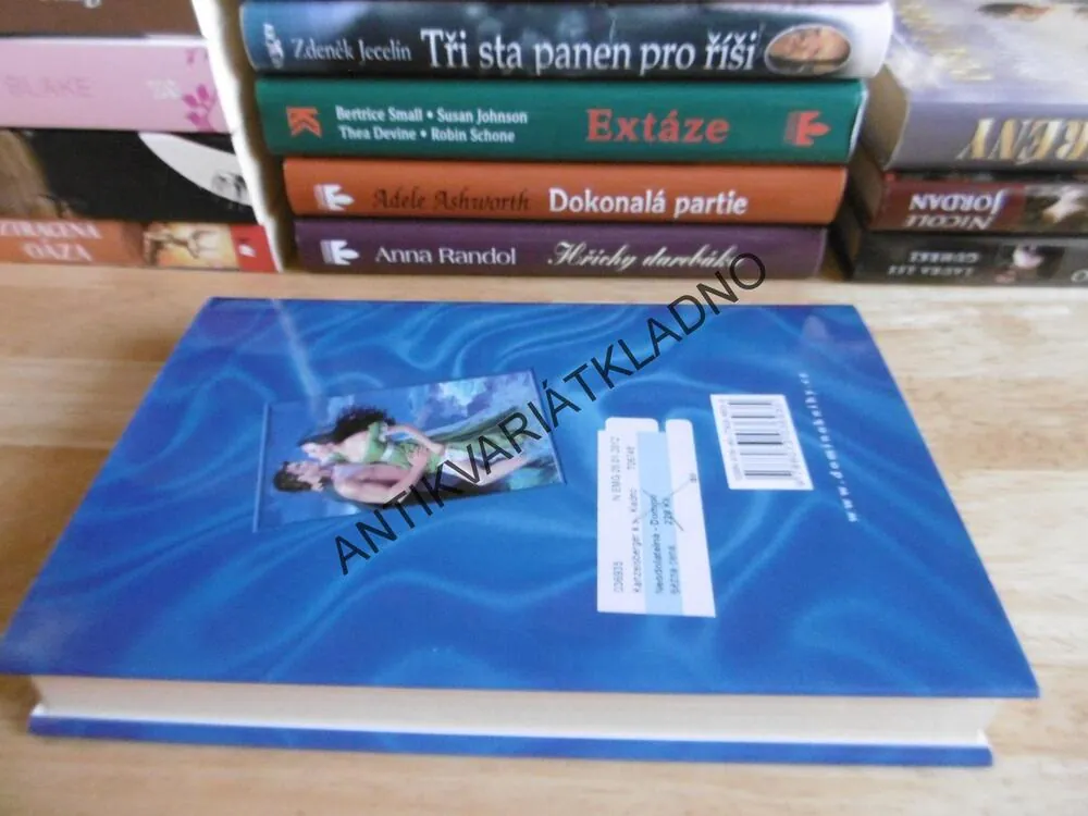 NEODOLATELNÁ, KAREN ROBARDS, **an