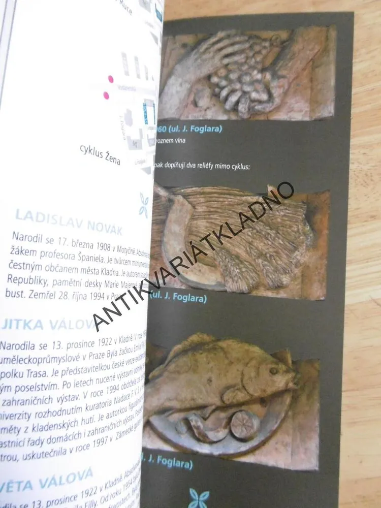 DOMY JAKO GALERIE, JAROSLAV VYKOUK, JAROSLAV VYŠÍN, **an