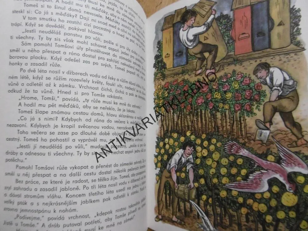 IS 19 - POHÁDKY Z DĚRAVÉ KAPSY, JIŘÍ KAFKA, CYRIL BOUDA
