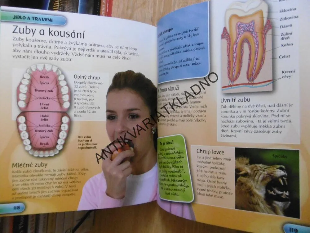LIDSKÉ TĚLO, DĚTSKÁ ENCYKLOPEDIE, **an
