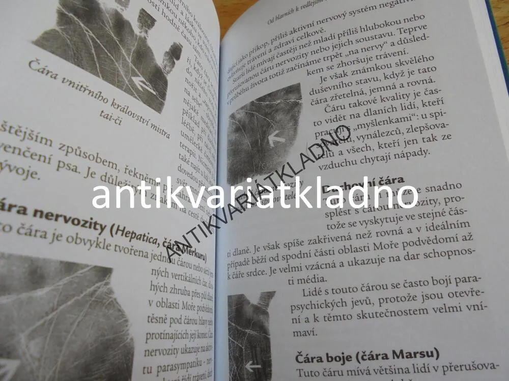 OSUD V DLANI, ČTENÍ Z RUKY, JOHNNY FINCHAM, **an