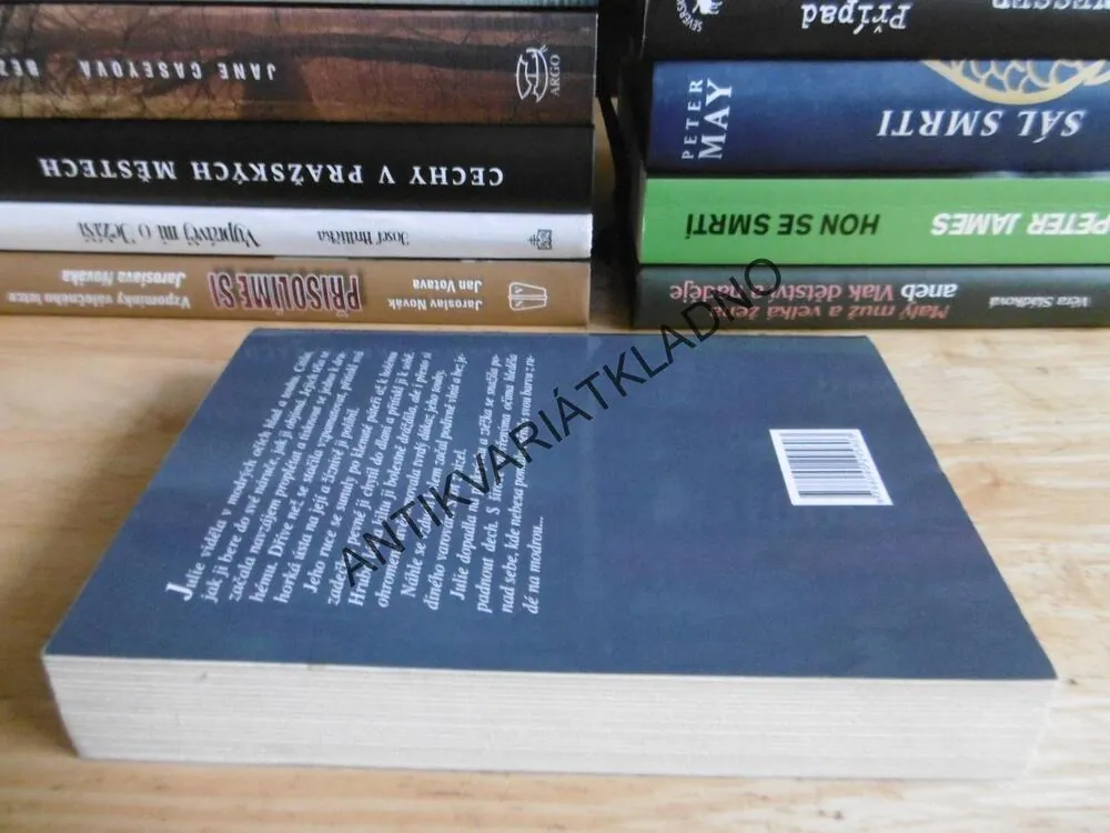 TAJEMSTVÍ HRADNÍ VĚŽE, KATHELEEN KIRKWOOD, **an