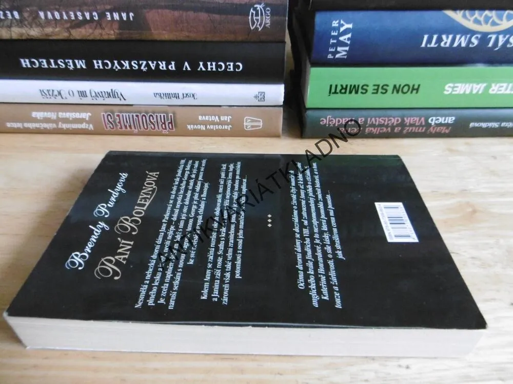 PANÍ BOLEYNOVÁ, BRENDY PURDYOVÁ, **an