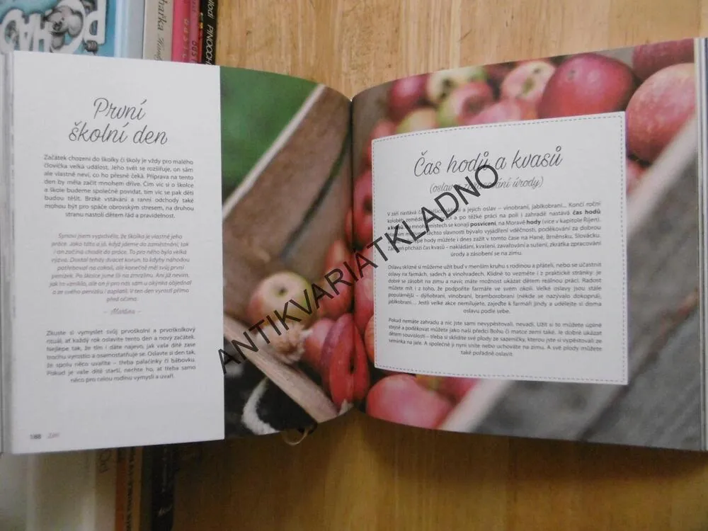TRADINÁŘ, RODINNÝ A TVOŘIVÝ ROK PLNÝ OSLAV A RITUÁLŮ, MONIKA KINDLOVÁ, BOLEDOVIČOVÁ,
