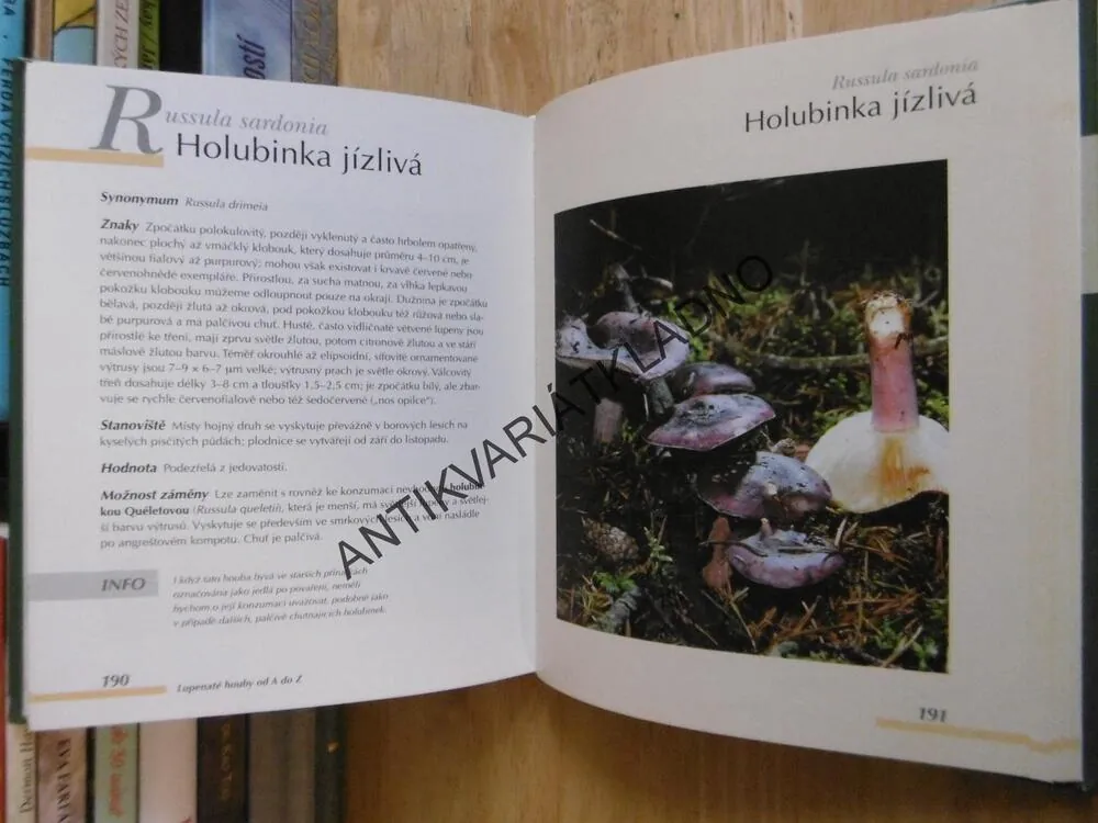 HOUBY, URČOVÁNÍ, SBĚR,**an