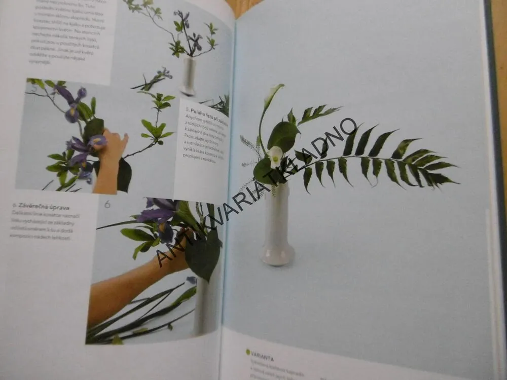 IKEBANA TVORBA KROK ZA KROKEM, CARTON, DIAS