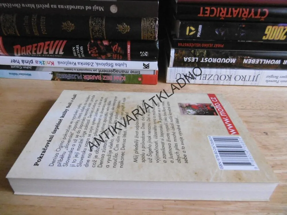 S DUŠÍ JAPONKY, DENISA OGINO, KOPCSÁNYI, **an