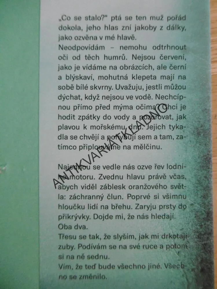 STÍNY NAD ZÁLIVEM, LUCY CLARKEOVÁ, PSYCHOTHRILLER, 