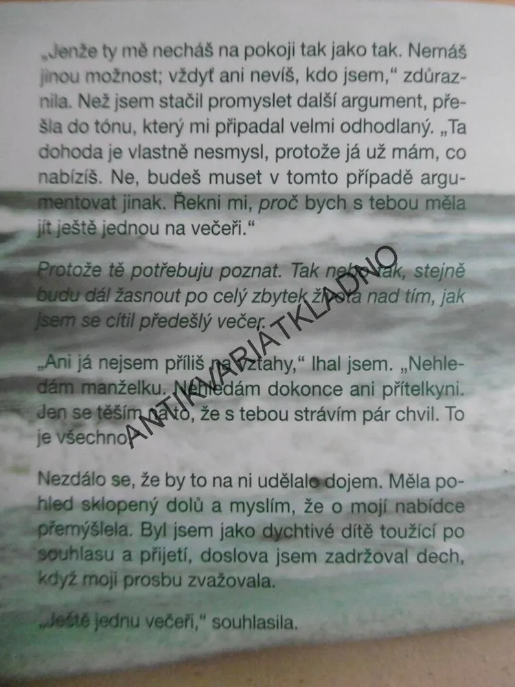 AŽ BUDU BEZ TEBE, KELLY RIMMEROVÁ, **an