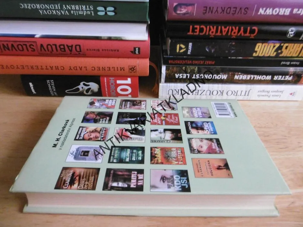 JEŠTĚ SE SETKÁME, MARY HIGGINS CLARKOVÁ, **an
