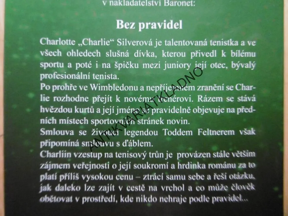 BEZ PRAVIDEL, LAUREN WEISBERGEROVÁ, **an