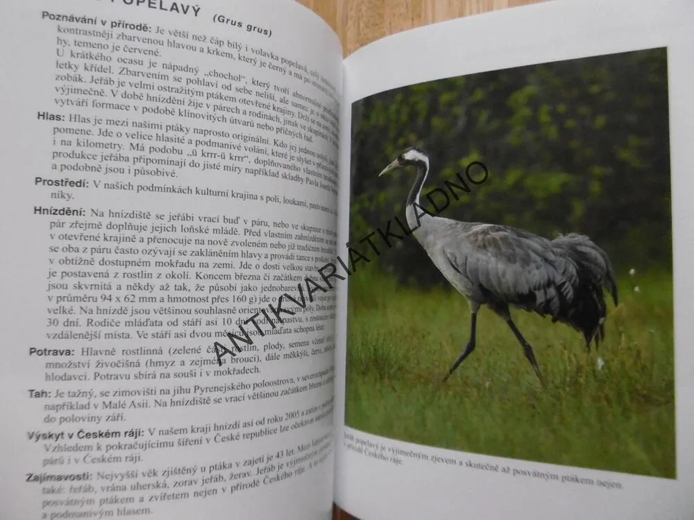 PTÁCI NEJEN ČESKÉHO RÁJE, ZDENĚK MRKÁČEK, FOTOGRAFICKÝ ATLAS PTÁKŮ, BEZ CD!!
