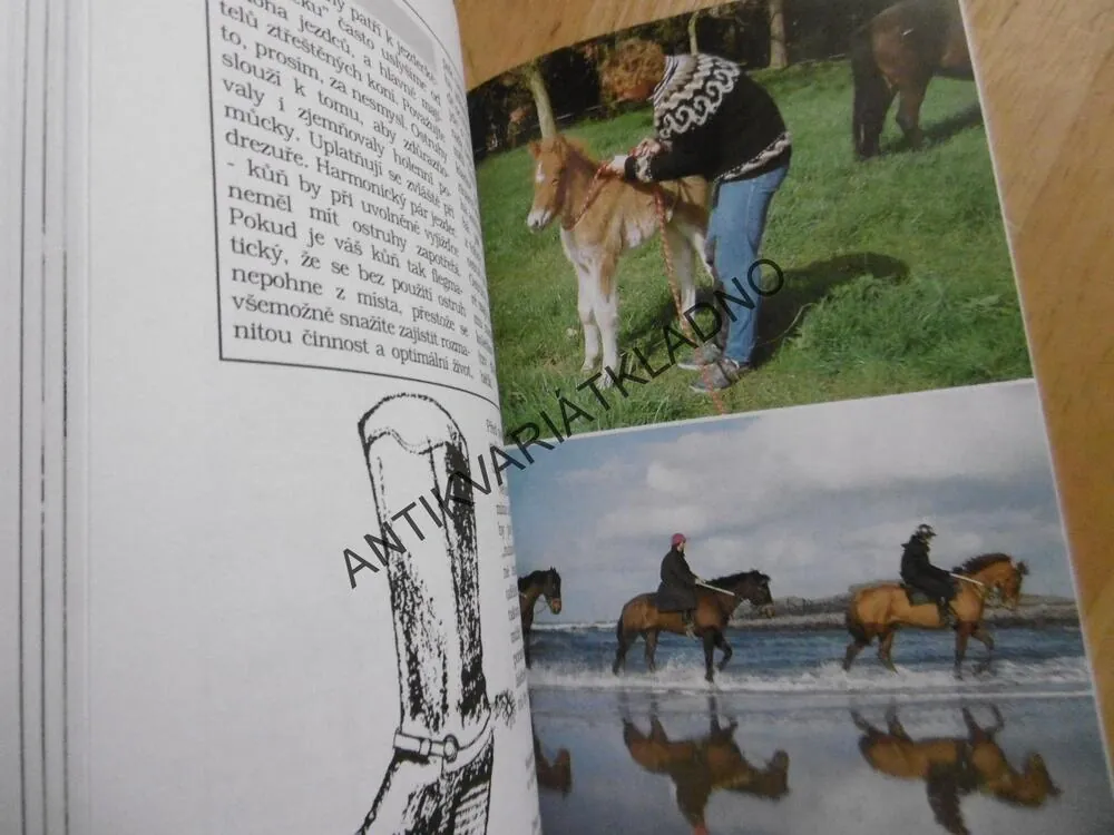 JEZDÍME PRO RADOST, MÉNĚ STRESU PŘI PRÁCI S KOŇMI, JEZDECKÝ KURS, **an