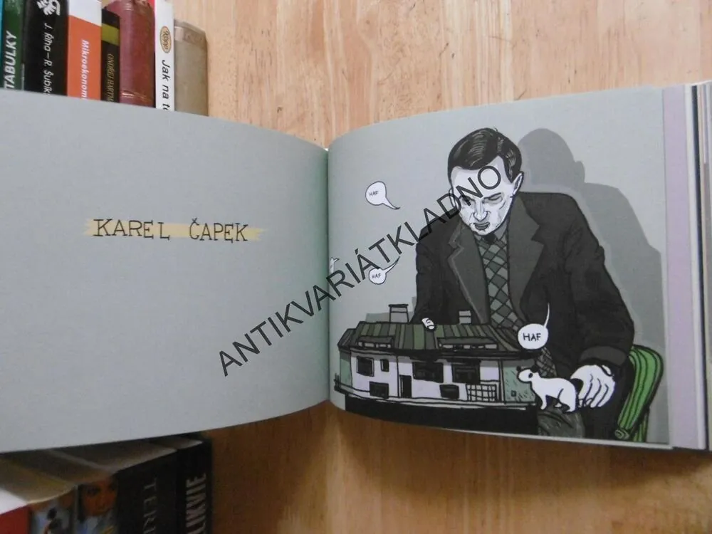 BOŽÍ ZBOŽÍ, ČESKÁ HISTORIE V 50 FEJSBUKOVÝCH PROFILECH, **an