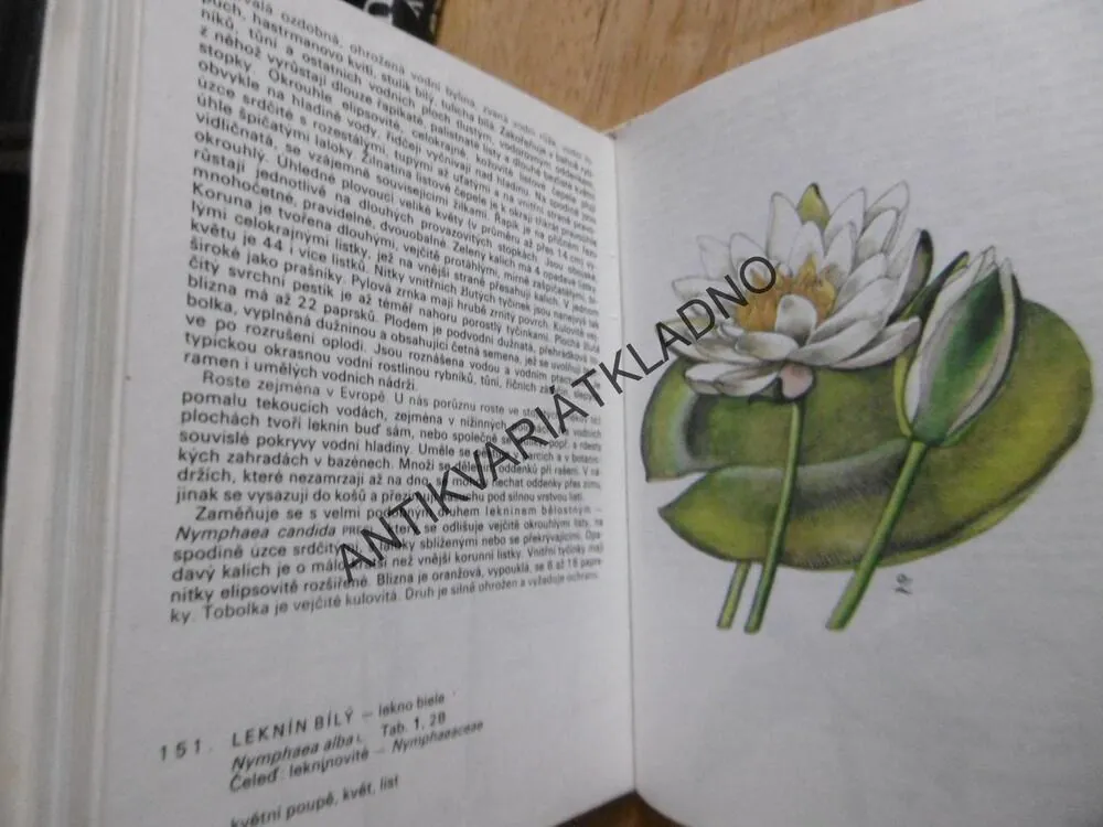 ROSTLINY LUK, PASTVIN, VOD A BAŽIN, FRANTIŠEK HRON, OTAKAR ZEJBRLÍK