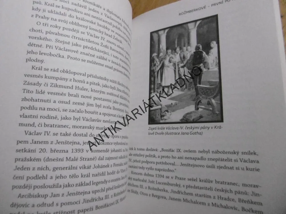 ROŽMBERKOVÉ - PRVNÍ PO KRÁLI, JAN BAUER, **an