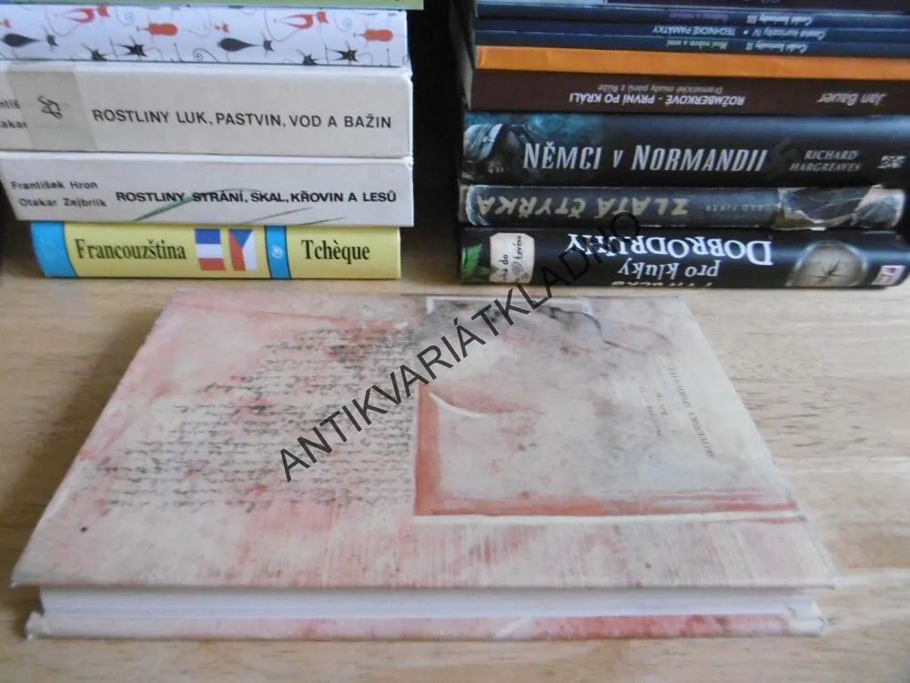 RADOSŤ AŽ DO RÁNA, VLADIMÍR PÁRAL, SLOVENSKY, **an