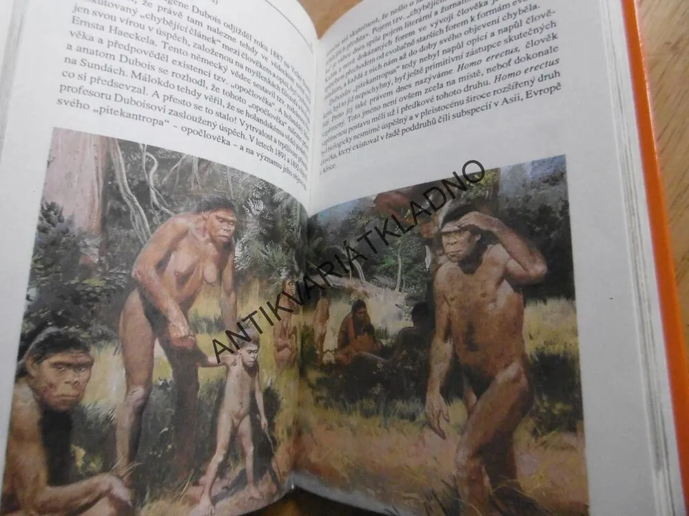 PRAVĚKÝ ČLOVĚK, V. MAZÁK, ZDENĚK BURIAN, 1992, **an