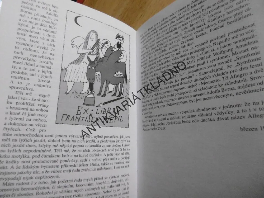 SLOVA MEZI BARVAMI, FRANTIŠEK NEPIL, **an
