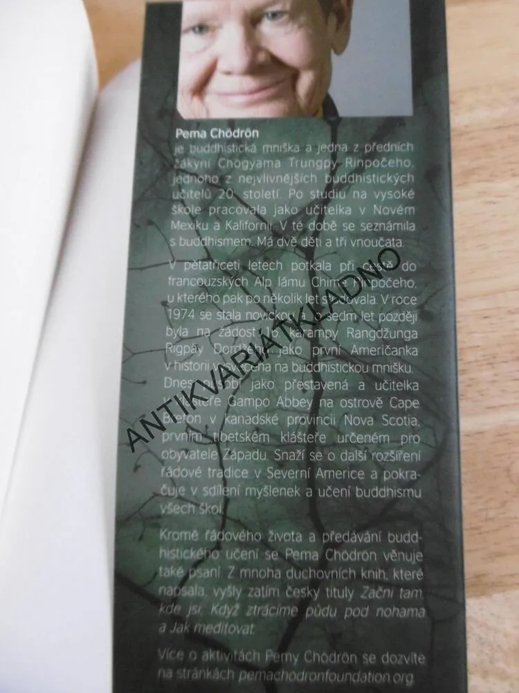 MÍSTA, KTERÁ VÁS DĚSÍ, PEMA CHÖDRÖN, **an
