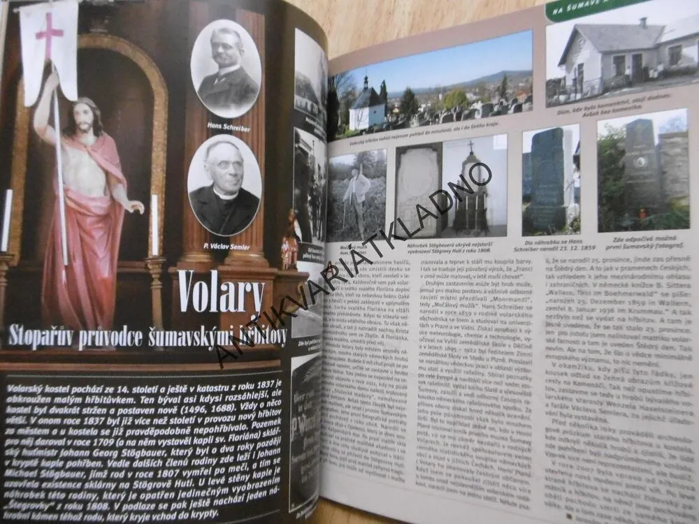 VÍTANÝ HOST, NA ŠUMAVĚ A V ČESKÉM LESE, ŠUMAVA, 2/2016
