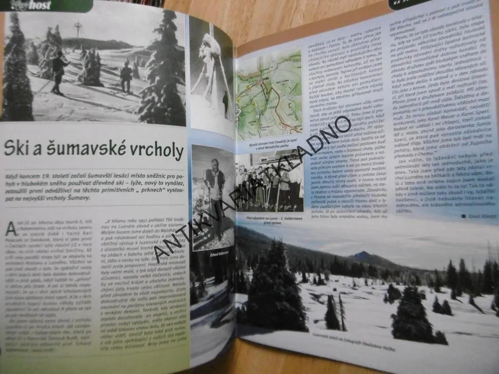 VÍTANÝ HOST, NA ŠUMAVĚ A V ČESKÉM LESE, ŠUMAVA, 4/2018