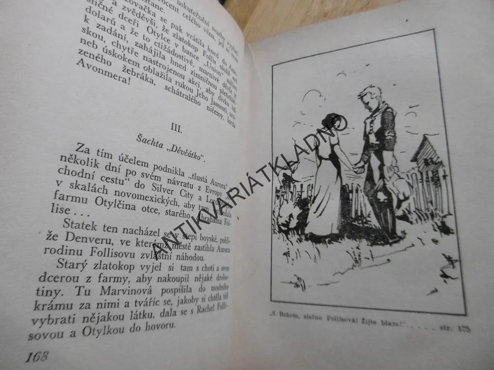 DĚVČE BEZE JMÉNA, A.C. GUNTER,  LOUKOTKA, 1933, **an