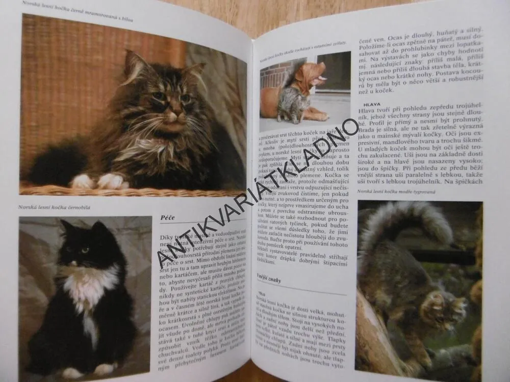 ENCYKLOPEDIE KOČEK, VERHOFF, VERHALLENOVÁ, KOČKA, KOČKY