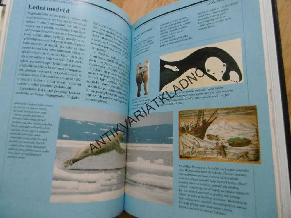 MYTICKÁ SÍLA ZVÍŘAT, NICOLAS J. SAUNDERS, MAGIE, TRADICE, SOUČASNOST, **an