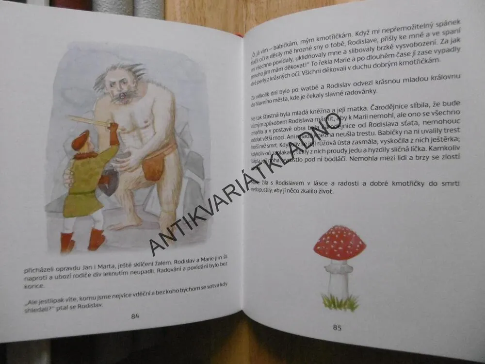 ČESKÉ POHÁDKY, ZDENĚK ERTL, TEREZA JANKŮ, 2013,**an