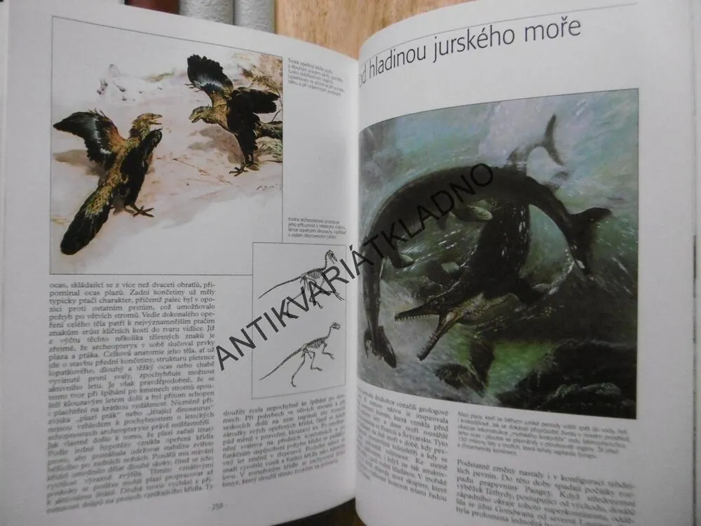 OTISKY ČASU, BOŘIVOJ ZÁRUBA, ZDENĚK BURIAN,