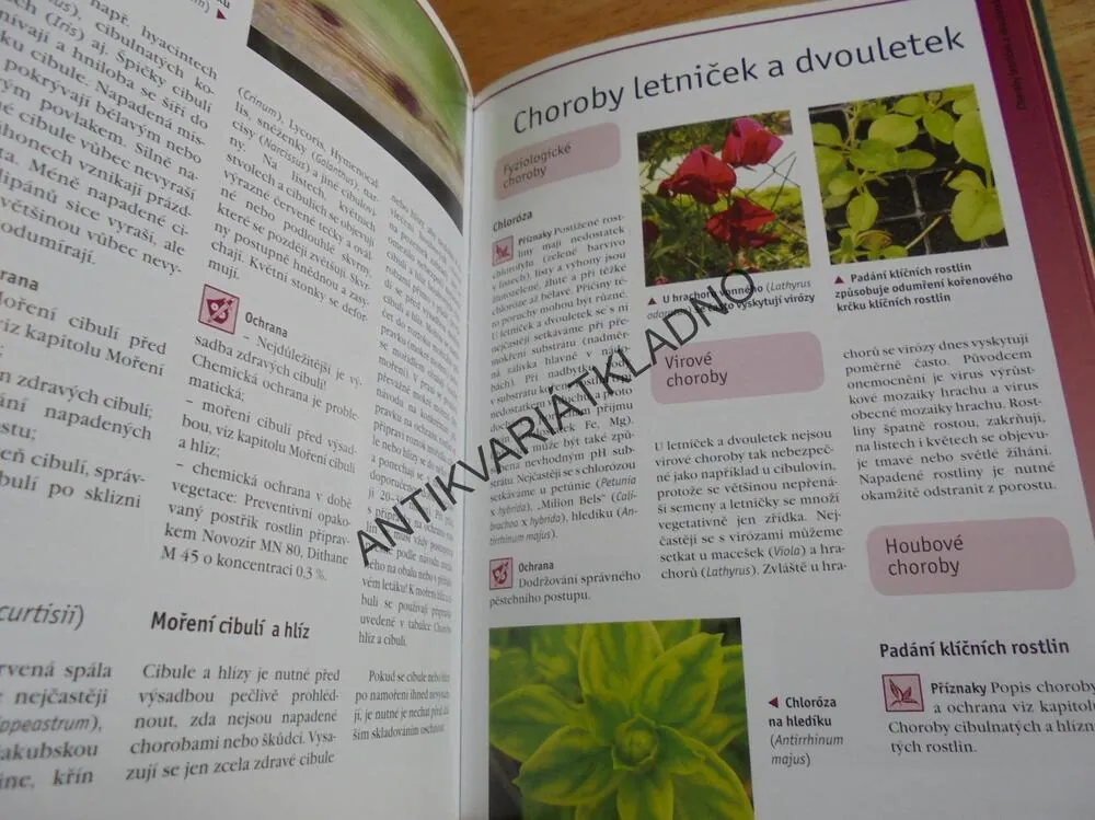 NEMOCI ZAHRADY, ABECEDA ČESKÉ ZAHRADY, HUDEC