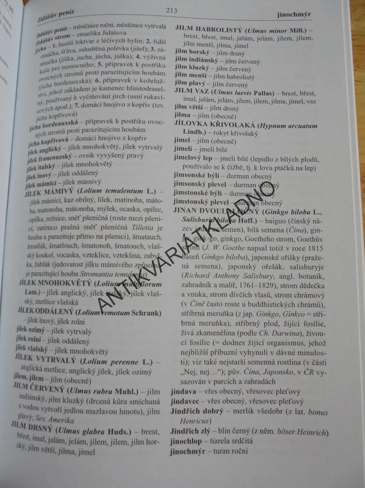 PRŮVODCE LIDOVÝMI NÁZVY ROSTLIN,BYLINKY,LÉČITELSTVÍ, RYSTONOVÁ, **an
