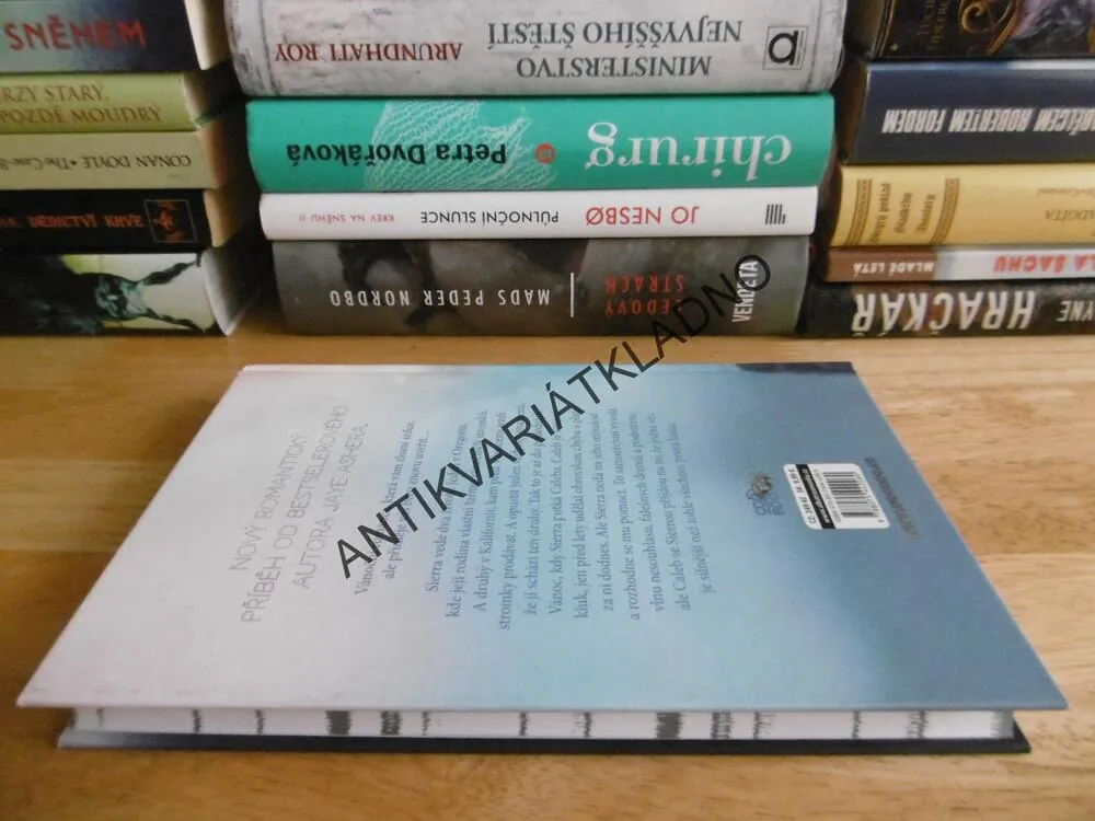 VÁNOČNÍ ZÁZRAK, JAY ASHER, **an