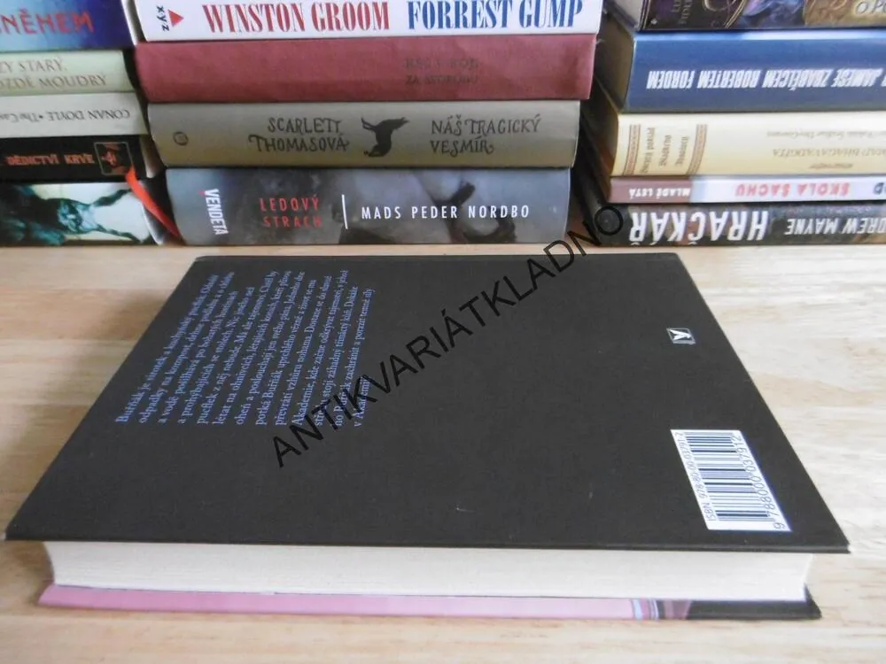 ZÁVOD O STŘÍBRNÝ MEČ, REBECCA LISLEOVÁ, **an