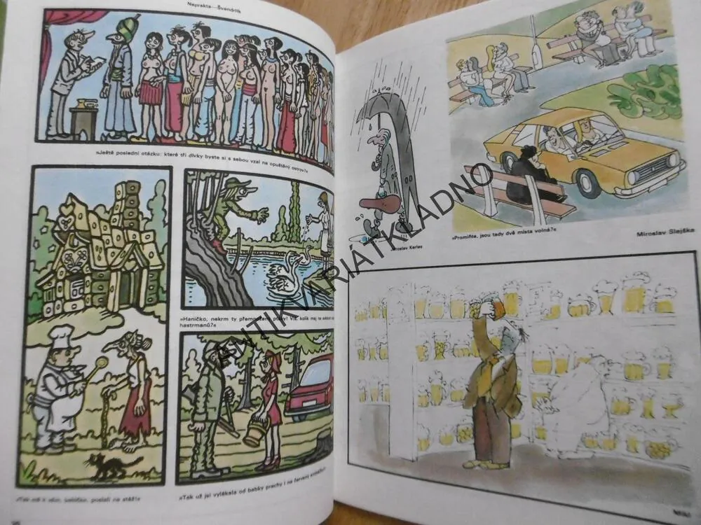 MAGAZÍN DIKOBRAZU 1/88