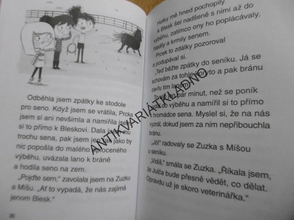 JULINKA A JEJÍ ZVÍŘÁTKA,NEZBEDNÝ PONÍK, REBECCA JOHNSON, **an
