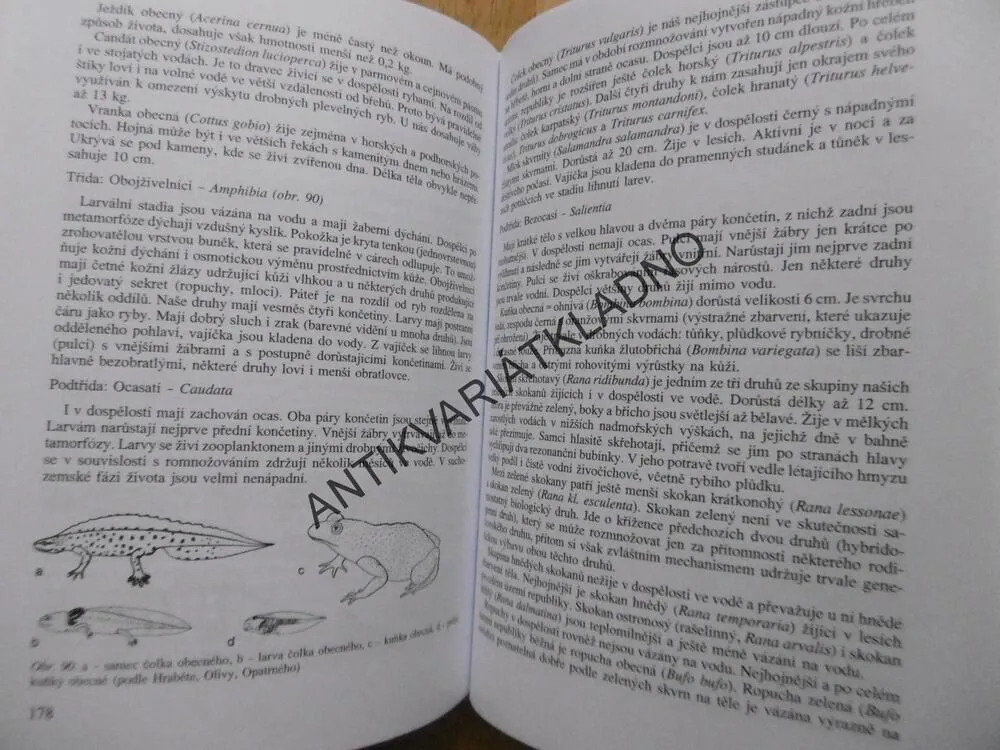 HYDROBIOLOGIE, HARTMAN, PŘIKRYL, ŠTĚDRONSKÝ, 1998