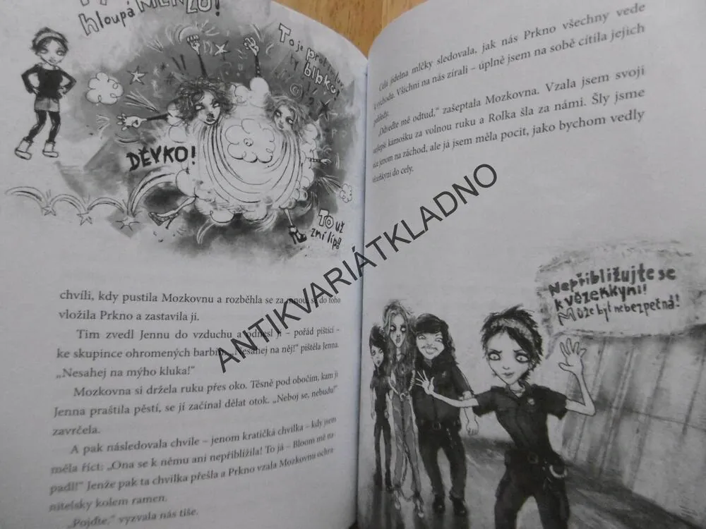 DENÍČEK ŠÍLENÝ HOLKY, JAMES PATTERSON, **an